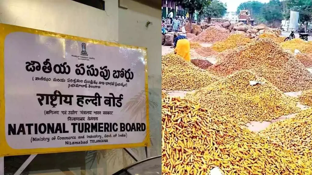 Turmeric board