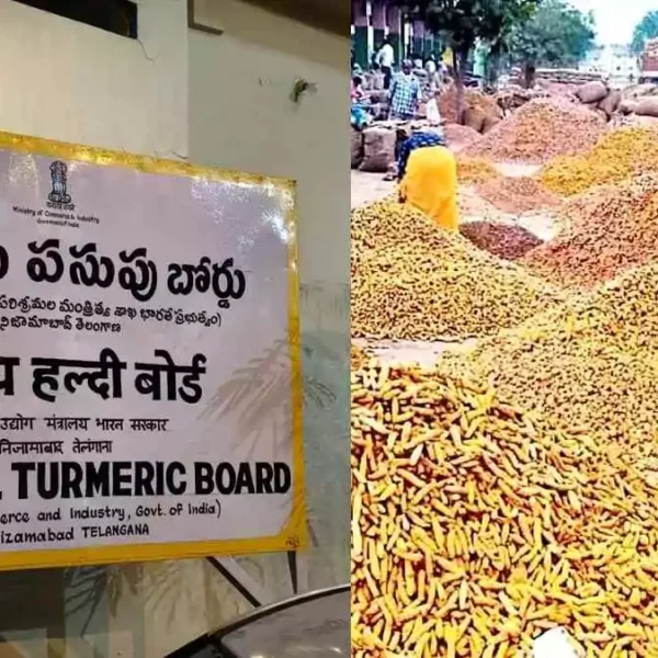 Turmeric board | నిజామాబాద్‌ నుంచి దేశవ్యాప్తంగా పసుపు వికాసం..