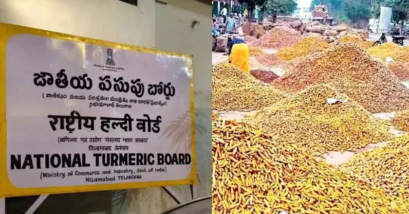 Turmeric board | నిజామాబాద్‌ నుంచి దేశవ్యాప్తంగా పసుపు వికాసం..