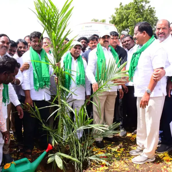Oil Palm | ఒకే రోజు 557 ఎక‌రాల్లో ఆయిల్ పామ్ ప్లాంటేషన్..