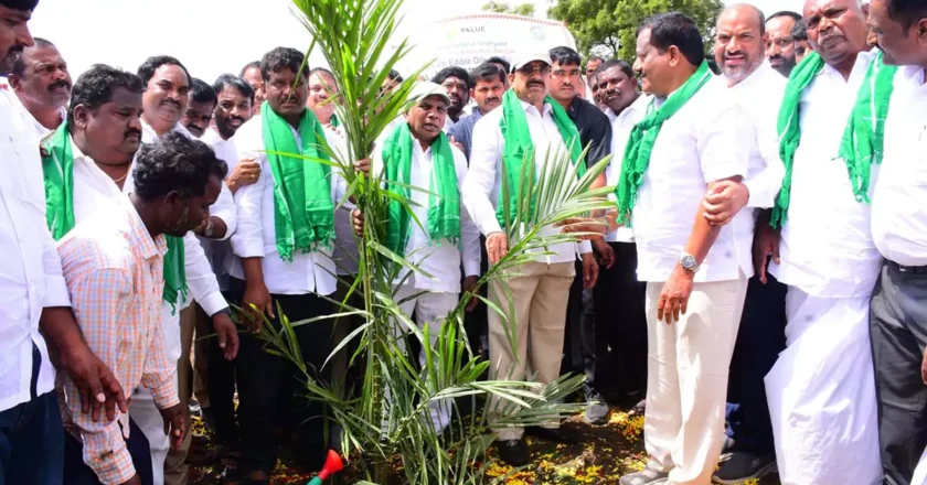 Oil Palm | ఒకే రోజు 557 ఎక‌రాల్లో ఆయిల్ పామ్ ప్లాంటేషన్..